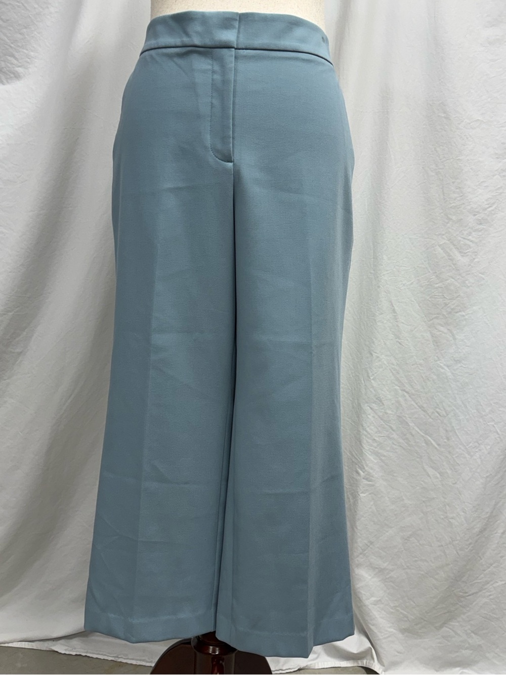 Ann Taylor Factory Powder Blue Wide-Leg High-Waist Pants
